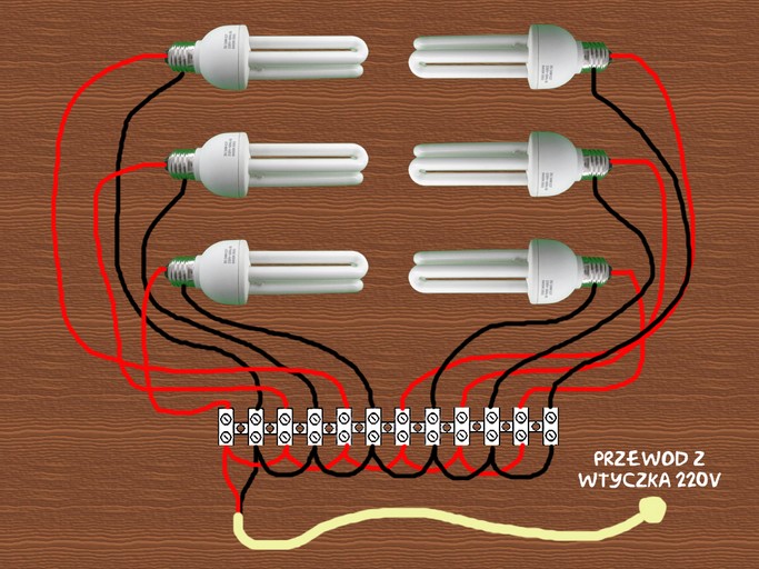 Bezpieczeństwo-i-estetyka-instalacji-elektrycznych-w-uprawie-indoor-8.jpg