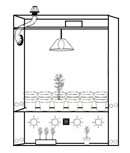 Podstawowe-informacje-o-budowie-growboxa-2.JPG