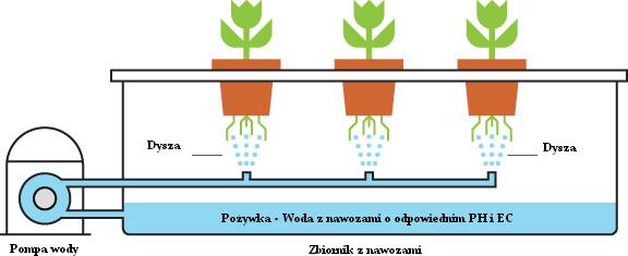 Podstawowe-informacje-o-hydroponice-1.jpg