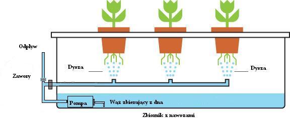 Podstawowe-informacje-o-hydroponice-14.jpg