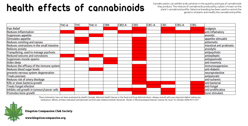 Medyczne-efekty-kannabinoidów-2.png