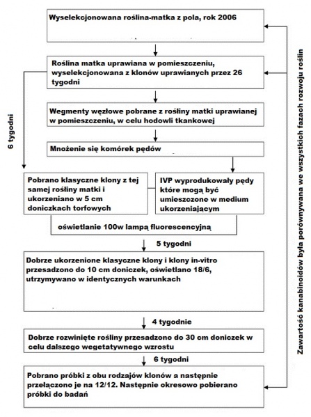 Schemat-metod-porównanie-pomiędzy-poszczególnymi-grupami-1.jpeg