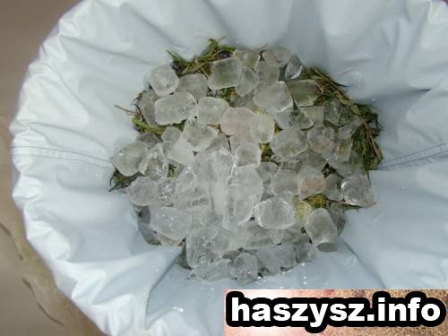 haszysz-Bubble-Hash-5.jpg