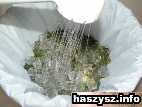 haszysz-Bubble-Hash-6.jpg