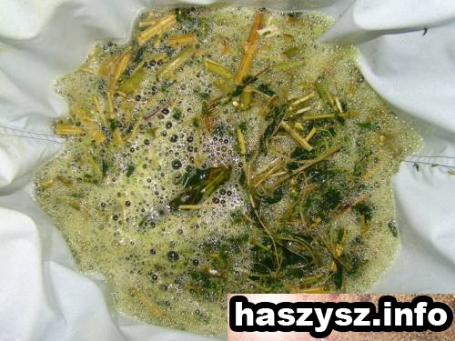 haszysz-Bubble-Hash-8.jpg