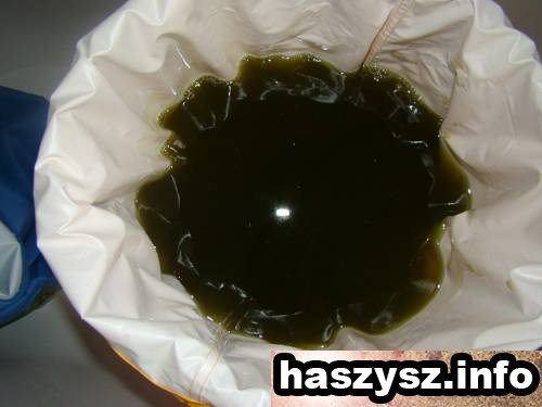 haszysz-Bubble-Hash-11.jpg