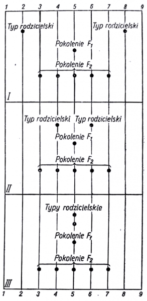 Transgresja-1.png