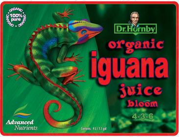 Iguana-Juice-Bloom-1.jpg