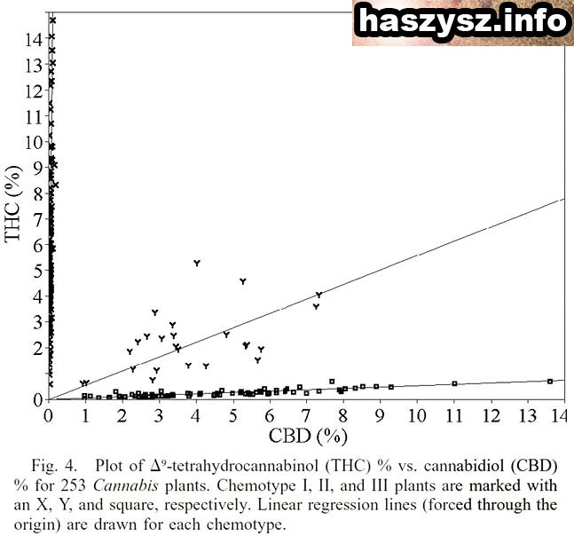 THC-CBD.jpg