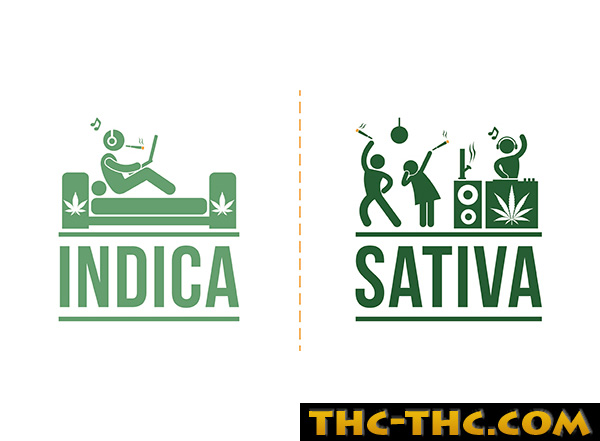 indica-vs-sativa-6373.jpg